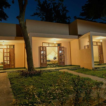 Cycad Entebbe Guest House Exteriör bild