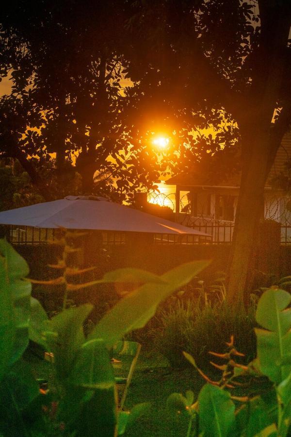 Cycad Entebbe Guest House Exteriör bild